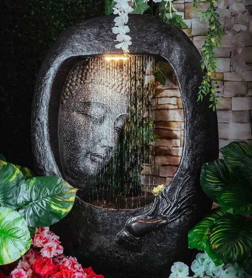 Aquarium Image