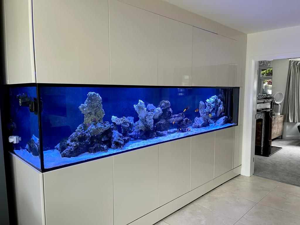 Aquarium Image