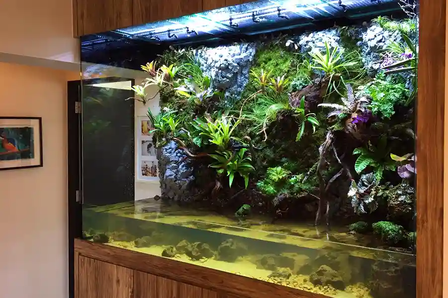 Aquarium Image