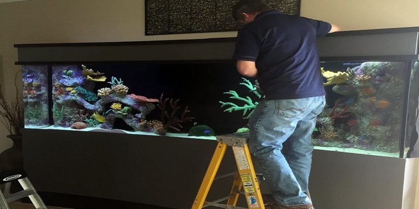 Aquarium Image